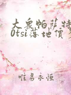 大众帕萨特330tsi落地价多少钱