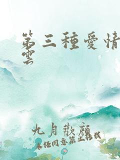 第三种爱情百度云