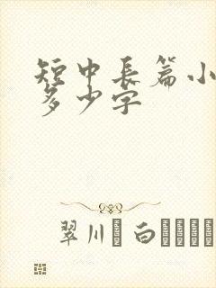 短中长篇小说各多少字