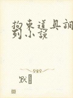 拘束道具调教系列小说