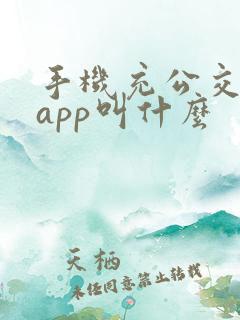 手机充公交卡的app叫什么