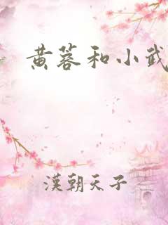 黄蓉和小武