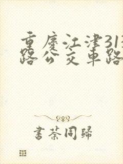 重庆江津313路公交车路线 重庆江津313路公交车路线