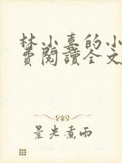 林小喜的小说免费阅读全文
