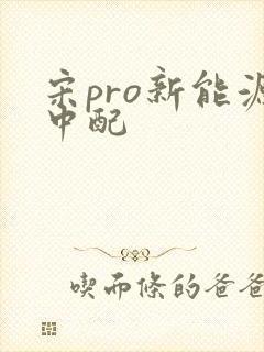宋pro新能源中配