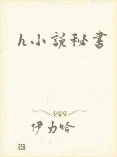h小说秘书