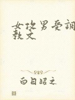 女攻男受调教调教文