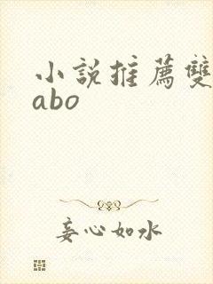 小说推荐双男主abo