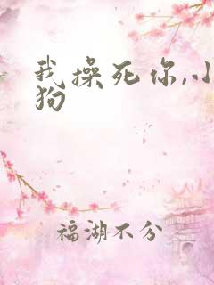 我操死你,小母狗