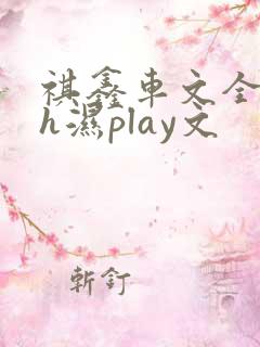 祺鑫车文全肉高h湿play文