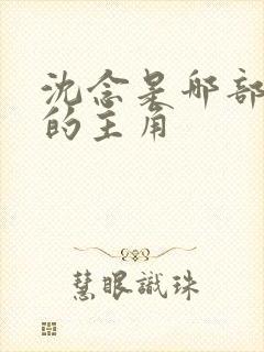 沈念是哪部小说的主角 沈念是哪部小说的主角