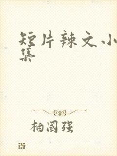短片辣文小说合集
