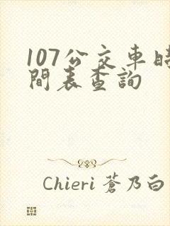107公交车时间表查询 107公交车时间表查询