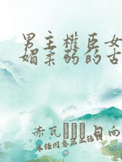 男主权臣女主娇媚柔弱的古言