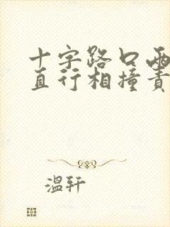 十字路口两车都直行相撞责任划分