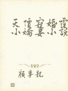 天价宠婚霍总的小娇妻小说免费阅读