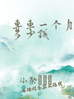 专车一个月能赚多少钱