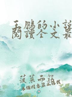 王鹏的小说免费阅读全文最新章节