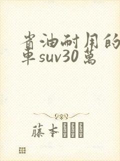 省油耐用的家用车suv30万