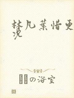 林凡叶惜更新情况