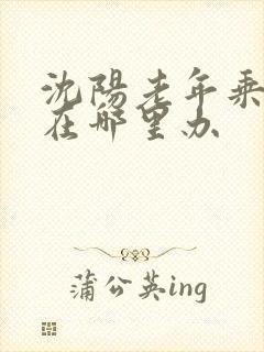 沈阳老年乘车卡在哪里办