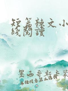 短篇辣文小说在线阅读
