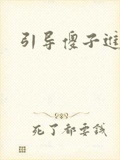 引导傻子进入