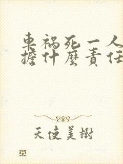 车祸死一人要承担什么责任