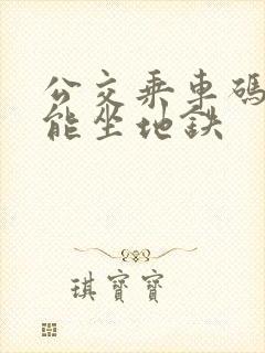 公交乘车码能不能坐地铁