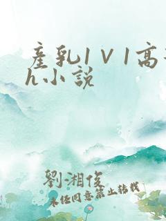 产乳1∨1高辣h小说