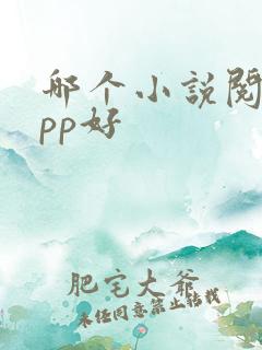 哪个小说阅读app好