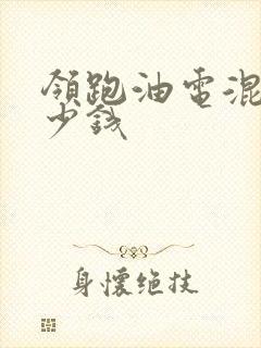 领跑油电混合多少钱