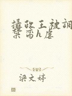 摄政王被调教成禁脔h虐