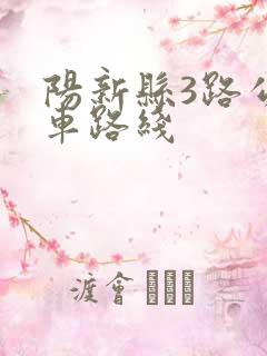 阳新县3路公交车路线