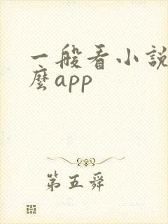一般看小说用什么app