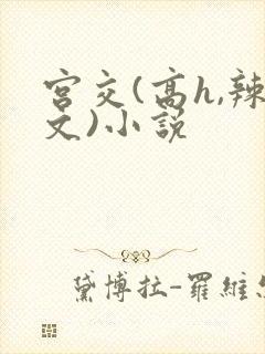 宫交(高h,辣文)小说