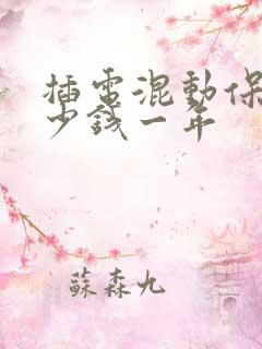 插电混动保险多少钱一年