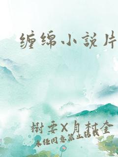 缠绵小说片段