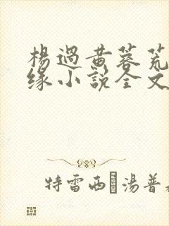 杨过黄蓉荒岛情缘小说全文在线阅读