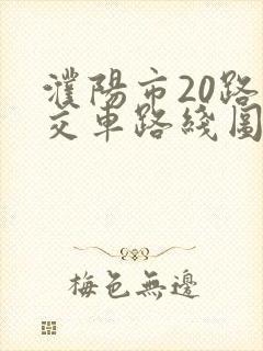 濮阳市20路公交车路线图路