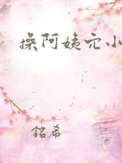 操阿姨穴小说