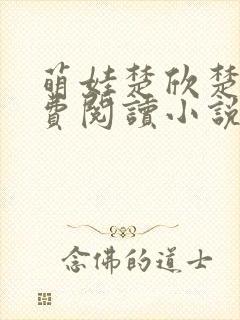 萌娃楚欣楚辰免费阅读小说