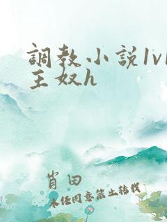调教小说1v1主奴h