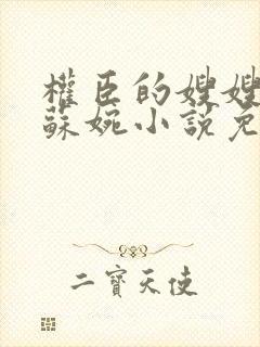 权臣的嫂嫂by苏婉小说免费阅读笔趣阁