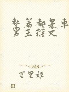 整篇都是车的双男主推文
