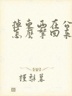 掉东西在公交车怎么拿回来