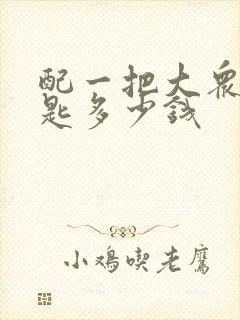 配一把大众车钥匙多少钱