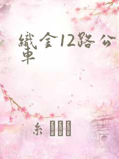 织金12路公交车