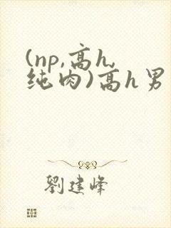 (np,高h,纯肉)高h男男