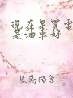 现在是买电车还是油车好